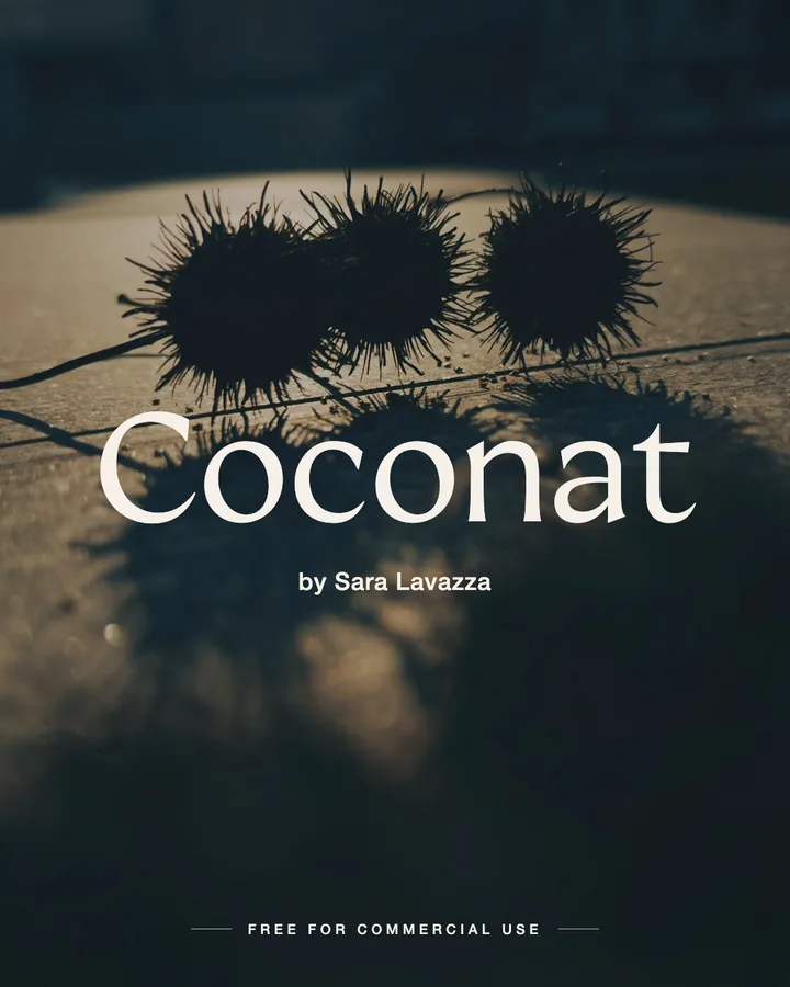 Coconat font by Sara Lavazza